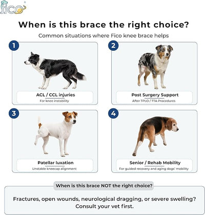 Dog Knee Brace for Hind Leg Support - Right Leg, CCL ACL Brace for Dogs, Vet Approved, Adjustable Orthopedic Support for Arthritis, Ligament Injuries & Post-TPLO Surgery Recovery (Small)