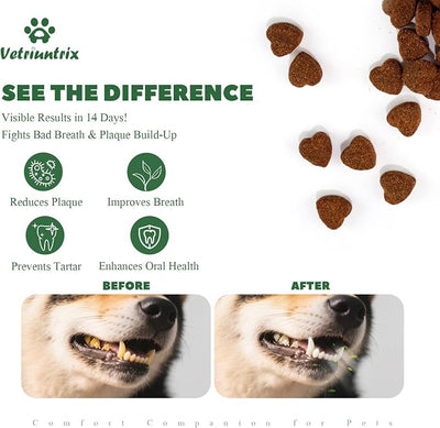 Teeth Cleaning Chews for Dogs, Dog Dental Soft Chews for Plaque & Tartar Control with Natural Enzymes, Dental Care for Dogs Fresh Breath with Probiotic