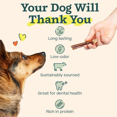 WOOF Bully Sticks Dog Treats - Chew Sticks for Dogs - Long-Lasting Dog Chew Treats - Made with Free-Range, Grass-Fed Beef - 6" Sticks - 5pk