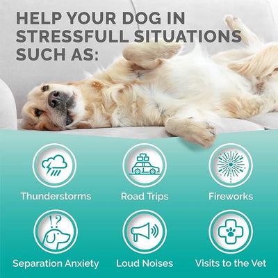 PREMIUM CARE Calming Chews for Dogs, 9.3 oz (264g), Duck Flavor, Calming Treats for Dogs, Dog Calming Chews, Dog Anxiety Chews, Anti Anxiety Relief, Valerian Root, L-Tryptophan, 120 Soft Chews