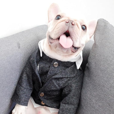 Dog Clothes Pet Plaid Suit Dog Tuxedo Costumes, Formal Gentleman Apparel Vest, Wedding Party Birthday Wear French Bulldog Pug Teddy Terrier Pup(Black Coat, XS)