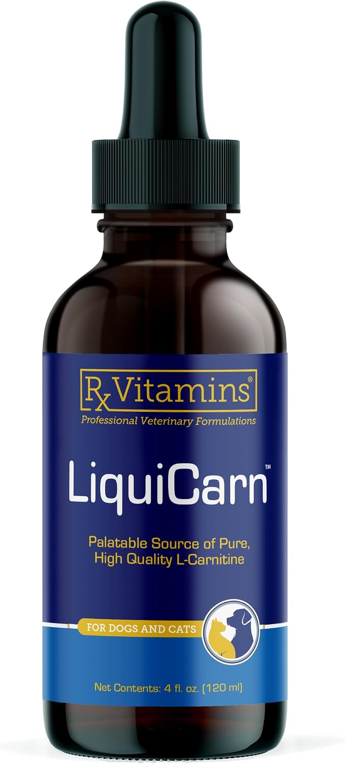 LiquiCarn - Pure L-Carnitine for Dogs and Cats to Aid in Dog Weight Loss - Provides High Energy and Helps in Metabolism - Supports Heart Health - 4oz (Bacon-Liver Flavor)