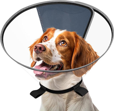 Clear Dog Cone for Medium Dogs After Surgery, Adjustable E-Collar to Stop Licking with Padded Neck for Brittany, Soft Recovery Collar with Reflective Trim for Night Visibility, Black S/M