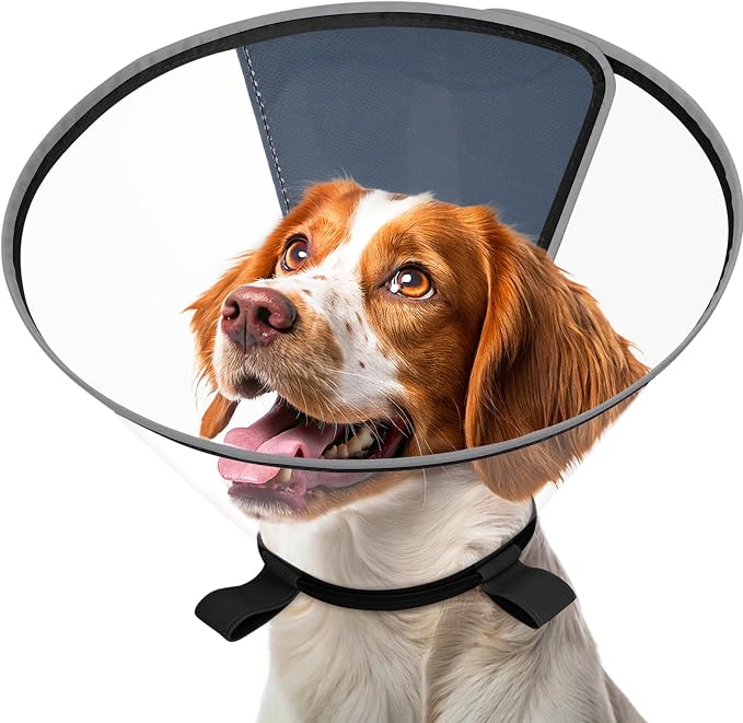 Clear Dog Cone for Medium Dogs After Surgery, Adjustable E-Collar to Stop Licking with Padded Neck for Corgi, Shiba Inu, Soft Recovery Collar with Reflective Trim for Night Visibility, Black M