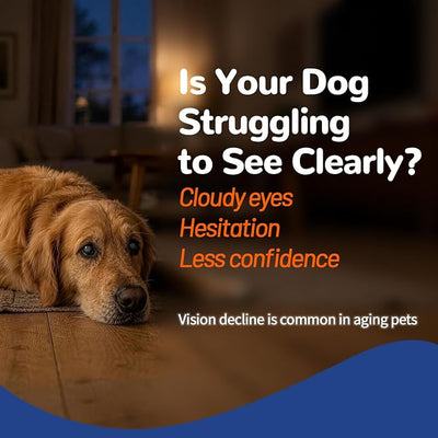 VUN Dog Eye Supplements-Dog Vision Supplement Soft Chew for Cloudy Eyes,Dry Eye and Night Vision of Senior Dogs,Antioxidant Eye Care with Lutein & Zeaxanthin,100 Counts (Chicken Flavor)