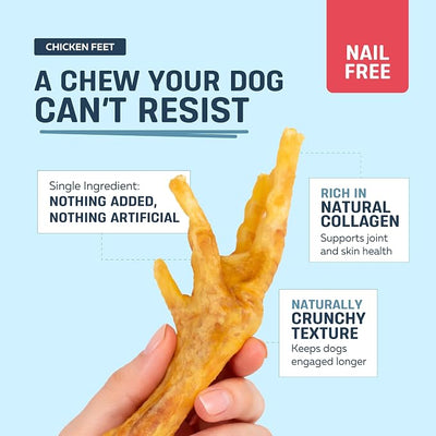 Big Lu – Nail-Free Chicken Feet Dog Chews, (60 Pack) |100% Natural Single-Ingredient Treats, Rawhide-Free, Long-Lasting, Rich in Glucosamine and Chondroitin for Joint Health