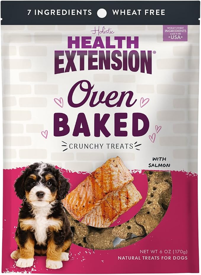 Oven-Baked Dog Treats, Salmon Recipe – Gluten & Wheat-Free, Superfood-Infused, Crunchy Biscuits for Puppy Training (6oz)