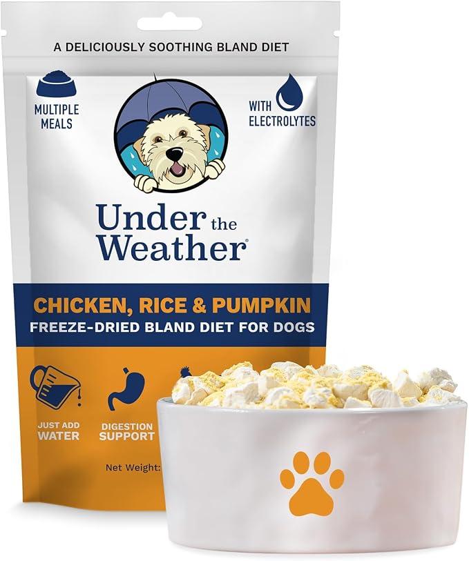 Bland Diet for Dogs | Easy to Digest for Sick Dogs |Always Be Ready | Contains Electrolytes - All Natural Freeze Dried 100% Human Grade Meats | 1 Pack - Rice, Chicken & Pumpkin - 6oz