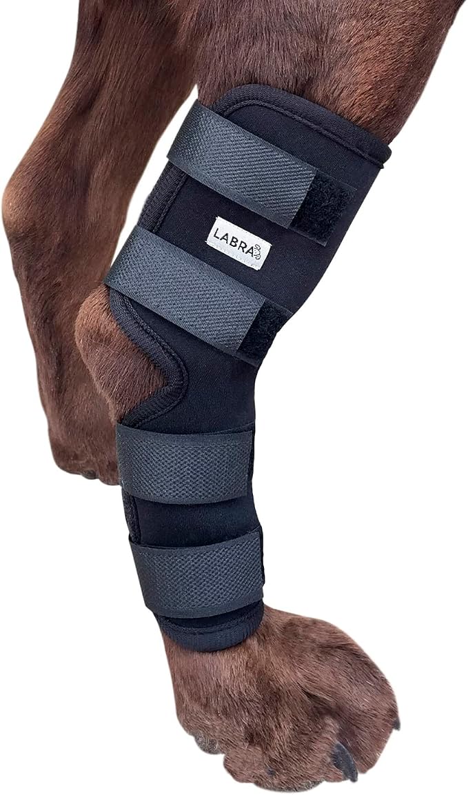 Dog Rear Leg Hock Joint Compression Wrap - Supportive Brace for Weak Back Legs, ACL Tear, and Joint Discomfort - Adjustable Hind Leg Support for Senior Dogs - Medium