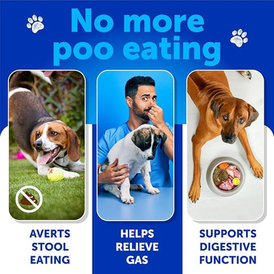 No Poo Chews for Dogs, Puppy - Coprophagia Stool Eating Deterrent - Prevent Dog from Eating Poop - Stop Eating Poop Treats with Probiotics & Enzymes - Immune, Digestive, Gut Health Support Supplement