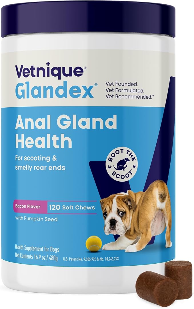 Glandex Anal Gland Soft Chew Treats with Pumpkin for Dogs Digestive Enzymes, Probiotics Fiber Supplement for Dogs Boot The Scoot (Bacon Flavor Chews, 120 Count)