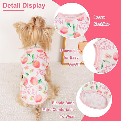 Dog Shirt Vest Dog Clothes for Small Dogs Boy Girl Stretchy Summer Puppy T-Shirts Soft Breathable Lightweight Puppy Sweatshirt Pet Cat Outfit (Peach, X-Small)