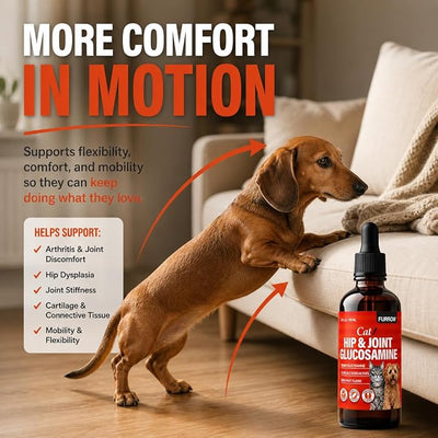 Furrow Liquid Glucosamine for Cats and Small Dogs — Hip & Joint Supplement with MSM, Chondroitin, Taurine & Hyaluronic Acid, Chicken Gravy Flavor — Joint Support for Pets Under 22 lbs