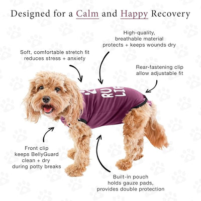 BellyGuard Dog Surgery Recovery Suit, Post-Op Dog Recovery Suit for Female Spay & Male Neuter, Comfy Onesie for Pets, Surgical Body Cover for Canine Healing Support