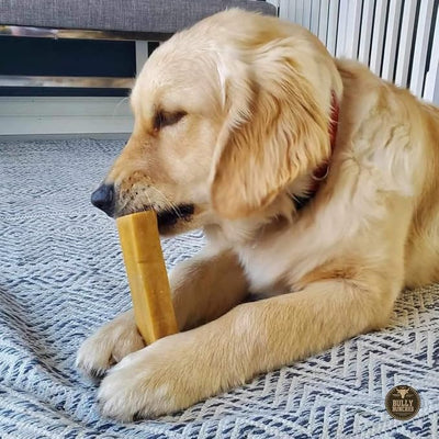 Bully Bunches Large Authentic Yak Cheese Himalayan Chews for Large Dogs & Heavy Chewers - All Natural Dog Treat Dental Chews, Made with Real Yak Milk - Lactose & Rawhide Free (2 Pk)