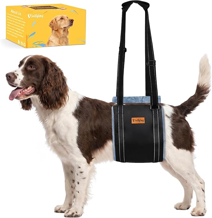 Dog Lift Harness for Medium Dogs, Soft Flannel Hind Leg Support Sling, Adjustable Dog Lifting Harness for Weak Rear Legs, Senior Injured Disabled Dogs, ACL Surgery Mobility Assist, M, Gray