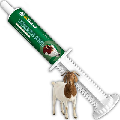 Ruminant Probiotic Paste 80CC for Cattle, Goats & Livestock – Prebiotic + Probiotic 6 Strains,12B CFU, Vitamin E & Minerals – Digestive, Rumen & Immune Support, Calving