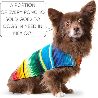 Dog Clothes - Handmade Dog Poncho - from Authentic Mexican Blanket (Blue, X-Small)