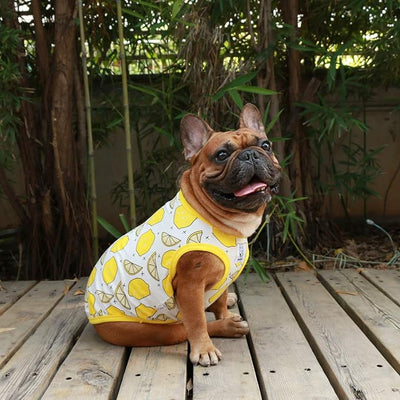 iChoue 100% Breathable Cotton English Bulldog Halloween Cartoon T Shirts Cute Clothes for Medium Large Dogs Vest Tank Tops Terrier Pitbull Lemon - XLarge