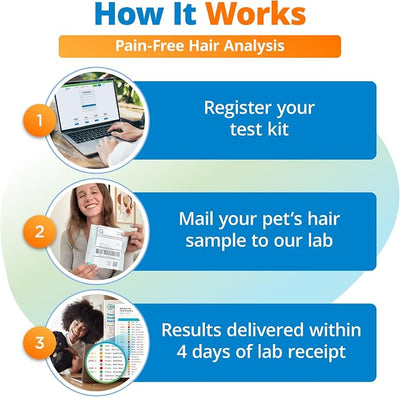 5Strands Raw & Fresh Pet Food Intolerance Test, at Home Gut Health Test for Dogs & Cats, 400+ Raw & Gently Cooked Fresh Food Items Tested, Accurate for All Ages & Breeds, Fast 4 Day Results