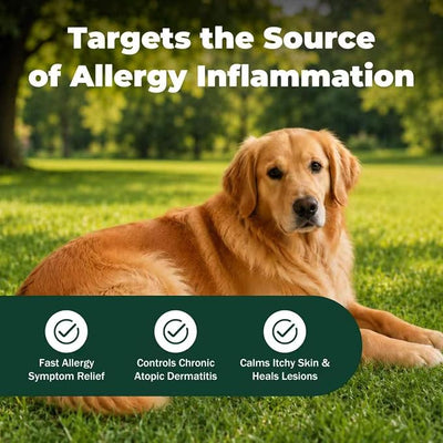 Dog Allergy Itch Relief Treatment,Fast Reduce Scratching,Paw Licking and Belly-Rubbing for Dermatitis，Atopic Skin Care Supplement for Dogs Over 12 Months Old | 15 mg | 90 Count