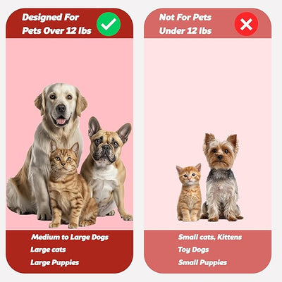 Pets & Pupps Pet Toothbrush for Dogs, Cats, Pack of 1 | Soft Bristles, Non Slip Dual Head, Medium & Large Pets, Easy Teeth Cleaning & Dental Care
