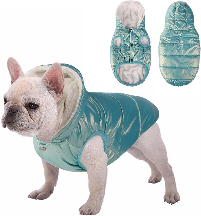 SAWMONG Waterproof Dog Winter Coat, Warm Fleece Lined Dog Jacket with Hood, Windproof Puppy Coat, Pet Apparel Vest Outdoor&Indoor Winter Activities(Mintgreen,XXL)
