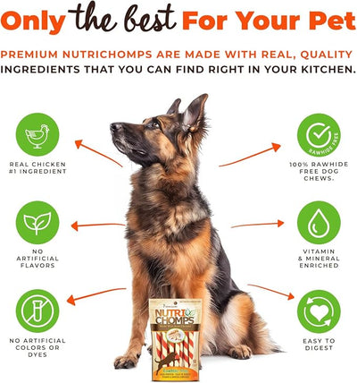 NutriChomps Dog Chews – 5-inch Twists, Easy to Digest, Rawhide-Free Dog Treats, Healthy, 10 Count, Real Chicken Flavor, Bundle of 2 (NT062V-2)