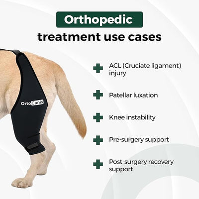 Ortocanis Dog Knee Brace for Hind Leg Support – Flexible Neoprene Knee Brace for Dogs with Joint Instability, Torn ACL, Limping or Osteoarthritis – Comfortable Support for Recovery (XXL, Right Leg)