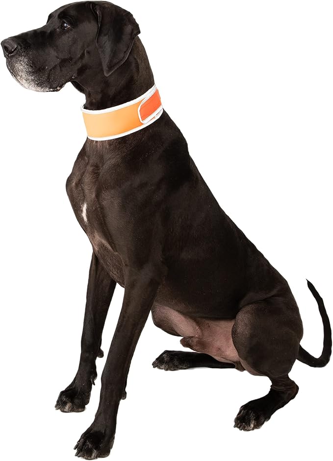 CoolerDog Hi-Vis Cooling Dog Collar for X-Large Dogs – Reflective Re-Freezable Ice Collar for Hot Weather & Heat Relief (Orange, X-Large)