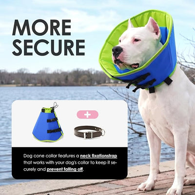 AOFITEE Dog Cones for Medium Dogs, Soft Dog Cone Collar After Surgery, Adjustable Cone for Dogs to Stop Licking with Adjustable Buckle, Pet E-Collar Alternative for Wound Healing(Bluegreen,Medium)