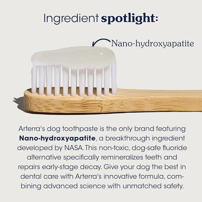 Remineralizing Dog Toothpaste – Vet-Grade, with Nano-Hydroxyapatite, Reverses Early-Stage Decay, Cleans Teeth, Removes Tartar, Freshens Breath by Arterra Pet Science, Plant-Based, Natural Flavor, 3oz