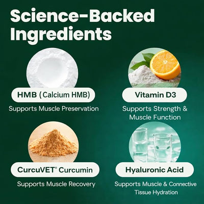 VetriScience HMB Healthy Muscle & Strength Supplement for Dogs, Mobility Support & Muscle Builder with Collagen, Calcium, Vitamin D & Curcumin, Powder, Pork, 8.47 oz - New Look