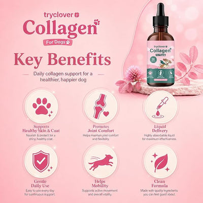 Collagen for Dogs, Bloom Collagen for Dogs, Premium Liquid for Daily Joint Skin Health & Coat, Gentle Formula, Convenient to Add to Food, 60ml (1pcs)