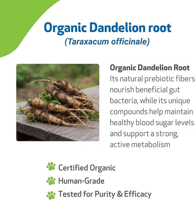 Pet Wellbeing Dandelion Root for Dogs - Liver & Heart Health, Digestive Function, Blood Sugar Support, Certified Organic - Veterinarian-Formulated Herbal Supplement 4 oz (118 ml)