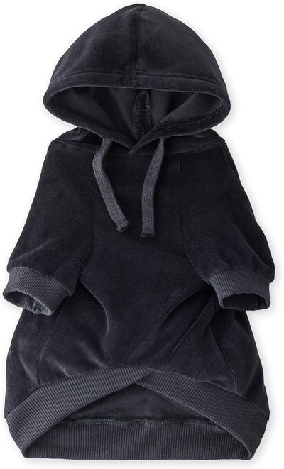 Pet Passion Cooper II Organic Cotton Velour Dog Hoodie Pet Coat for Small, Medium and Large Dogs, Black, XXX-Small (up to 5lbs)