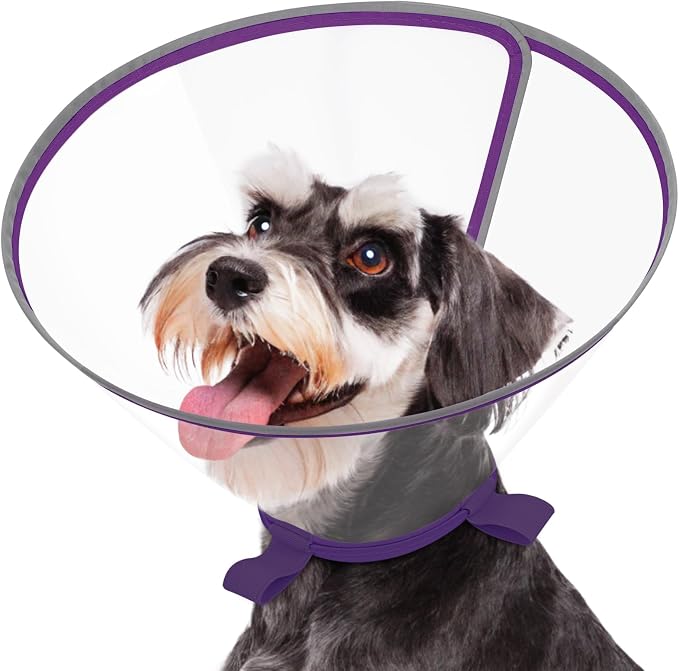 Clear Dog Cone for Small Dogs After Surgery, Adjustable E-Collar to Stop Licking with Padded Neck for Mini Schnauzer, Soft Recovery Collar with Reflective Trim for Night Visibility, Purple S
