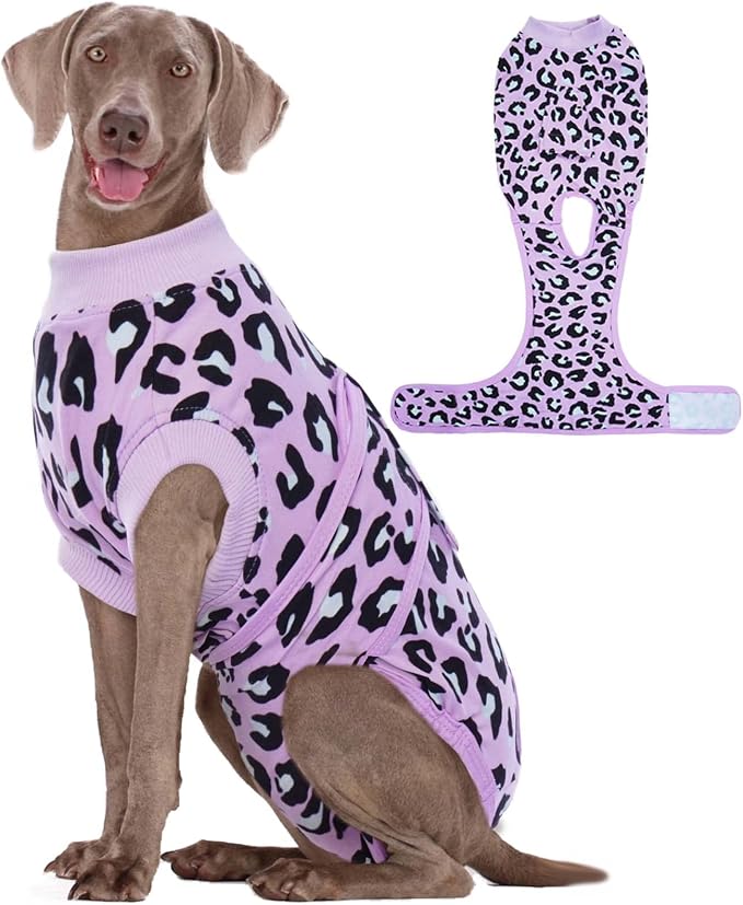 Dog Recovery Suit for Dogs After Surgery,Professional Surgical Onesie for Female Male Dogs Spay Neuter,Soft Dog Surgery Suit Bodysuit for Abdominal Wounds Skin Disease,Purple Leopard 2XL
