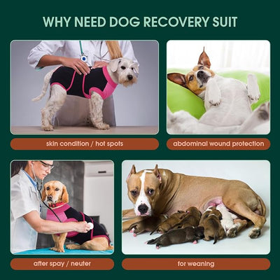 Kuoser Recovery Suit for Dogs After Surgery, Soft Dog Surgery Suit Female Male, Breathable Pet Surgical Recovery Shirt, Anti Licking Dog Onesie for Abdominal Wounds Cone Alternatives, Black L