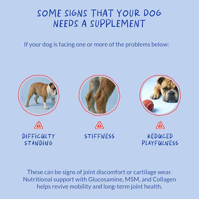 Hip & Joint Max Strength Dogs - Collagen, Glucosamine & Fish Oil | Max Strength with Collagen, Glucosamine & Fish Oil. Supports hip & joint health, eases inflammation & acts as antioxidant.