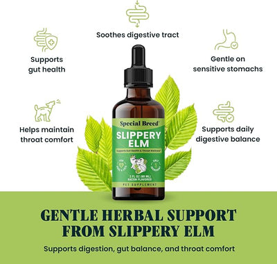 Slippery Elm for Dogs and Cats - Soothing Digestive Relief and Gut Support - Stomach Comfort and Throat Support - Herbal Drops for Pets - Easy to Use - Bacon Flavored - 2 fl oz