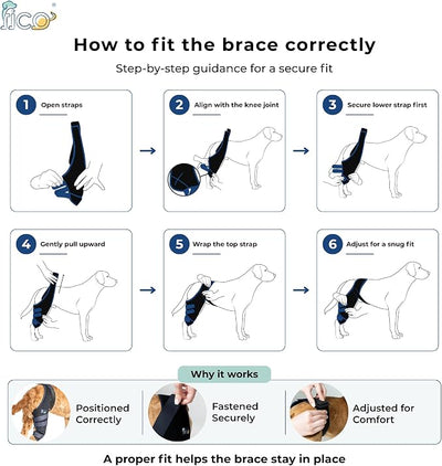 Dog Knee Brace for Right Hind Leg Support - CCL ACL Brace for Dogs, Vet Approved, Adjustable Orthopedic Support for Arthritis, Ligament Injuries & Post-TPLO Surgery Recovery (M (CB))