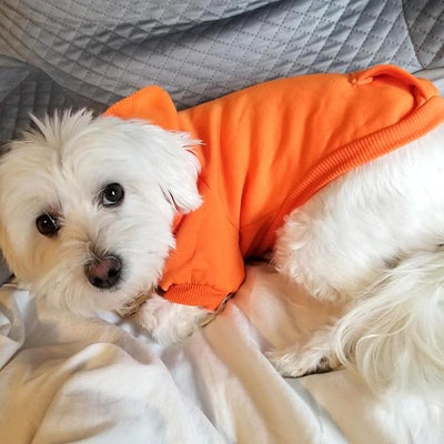 Jecikelon Soft Dog Hoodies for Small Dogs, Fleece Puppy Sweatshirt with Pockets, Warm Winter Cold Weather Coats for Pet Cat, Cute Clothes Puppy Costume (Orange, XX-Small)