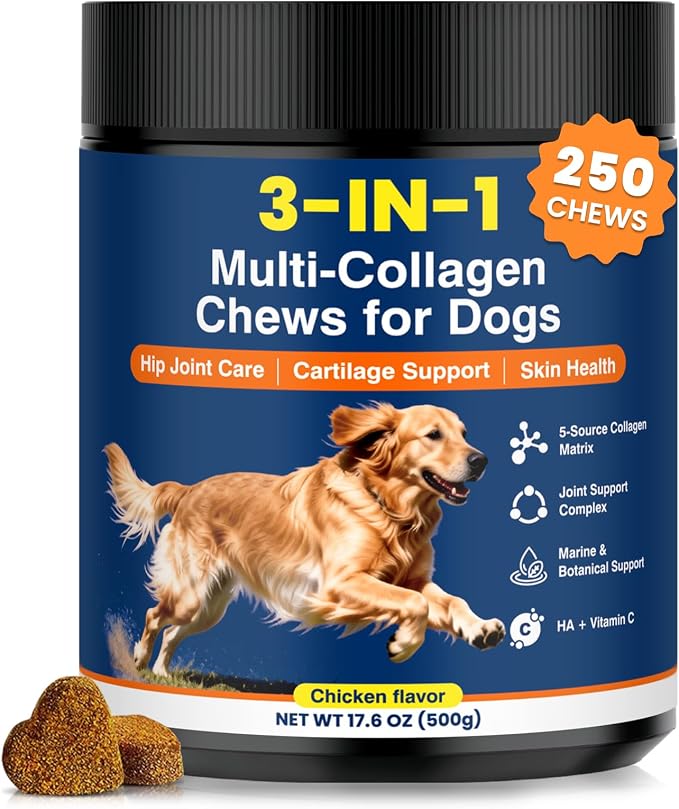 Multi Collagen Soft Chews for Dogs 250 Count for Hip & Joint Supplement Skin & Coat Health Cartilage Mobility Support with Glucosamine Probiotics Hyaluronic Acid Eggshell Membrane (Chicken Flavor)