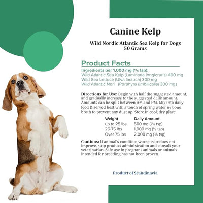 Holistic Bin Canine Atlantic Sea Kelp Dog Food Toppers | Supplement Powder with Iodine and Minerals | Pet Essentials | For Shiny Coat and Skin Wellness | Gut Flora & Oral Freshness | Canine Kelp (50g)
