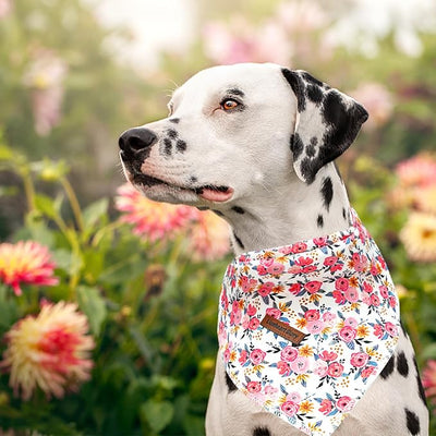 Lionheart Glory Floral Dog Scarf - Soft Washable Square Bandanas for Small Dogs (1 Pack, Spring/Summer)