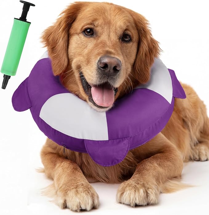 IECOii Inflatable Dog Recovery Collar, Comfortable Cone Alternative | Comfort Beyond the Cone | Pillow-Like Comfort | Full-View Freedom | Lick-Free Healing | Stay-Put Fit | Easy-Clean Design