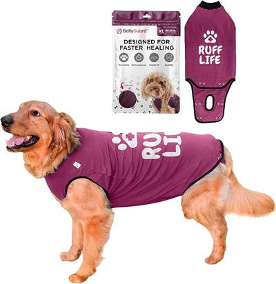 BellyGuard Dog Surgery Recovery Suit, Post-Op Dog Recovery Suit for Female Spay & Male Neuter, Comfy Onesie for Pets, Surgical Body Cover for Canine Healing Support