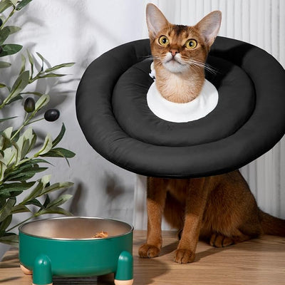Comfortable Adjustable Soft Cone Alternative - Medium Dog & Cat Recovery Collar, Elizabethan Donut Collar, Different Sizes for Small, Medium & Large Pets