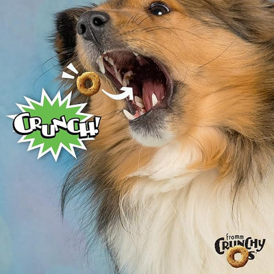 Fromm Crunchy Os Pumpkin Kran Pow Dog Treats - Premium Crunchy Dog Treats - Turkey Recipe - 26 oz